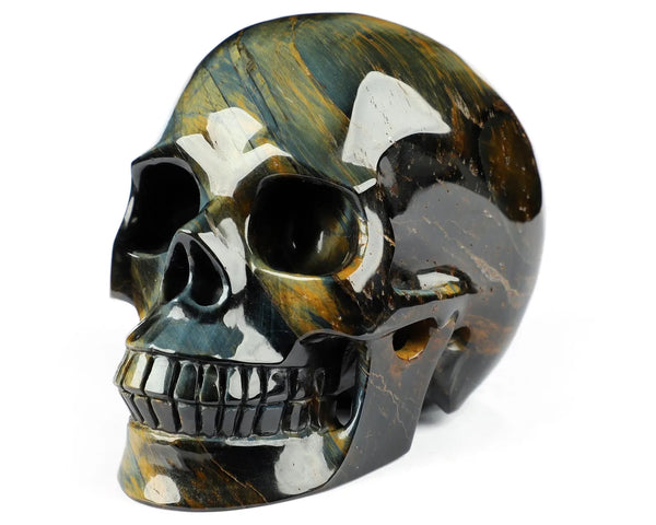 Skulls
